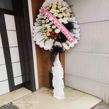 Çelenk Tekli Canlı Gerbera